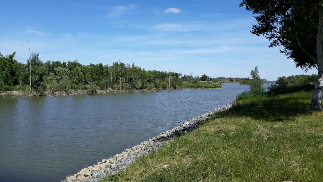Biesbosch Bed & Breakfast Werkendam Dış mekan fotoğraf